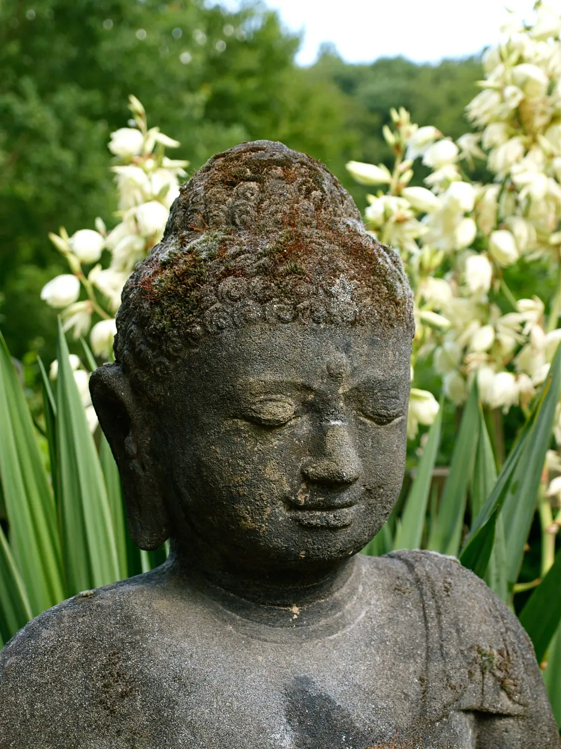 Yoga & Meditation Lord Ganesh