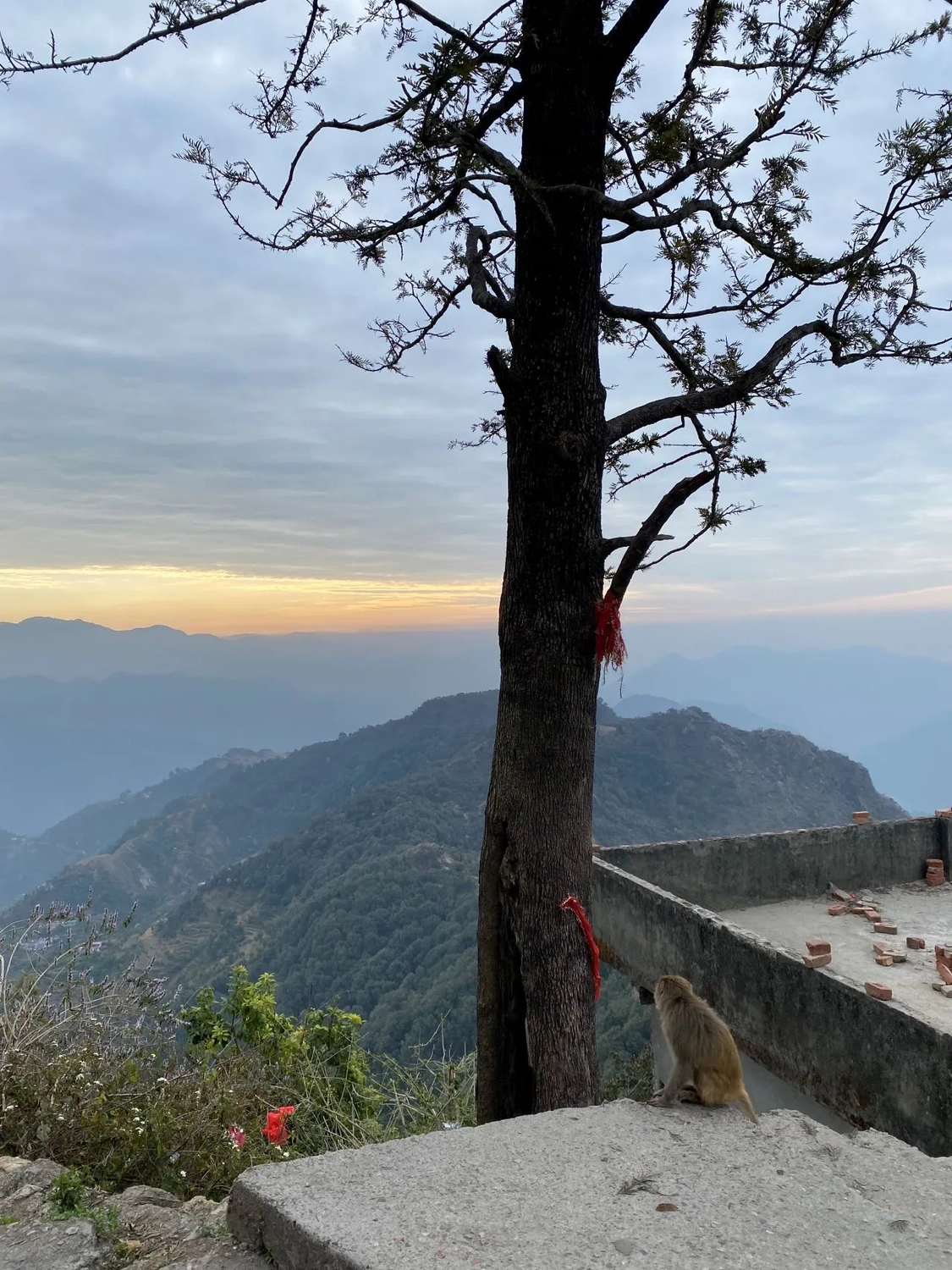  Meditation im Winter, innere Ruhe finden, Stress reduzieren, Nervensystem beruhigen, Achtsamkeit im Winter, Meditation lernen, emotionale Balance