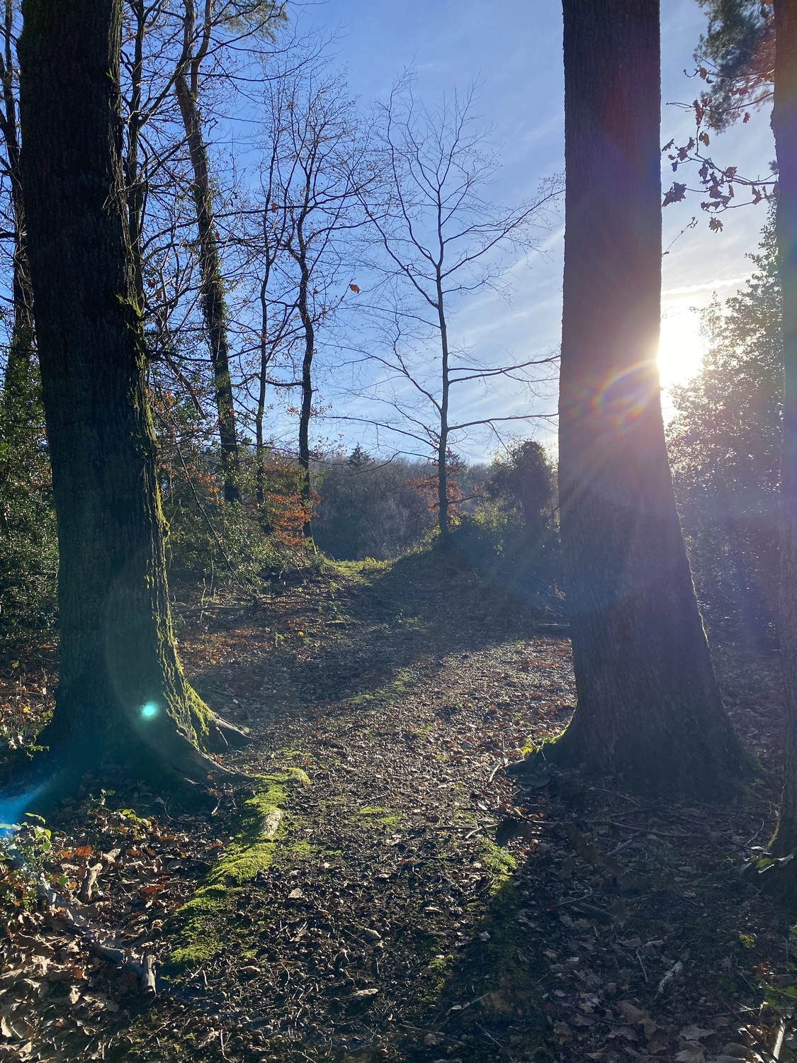 Yoga für mehr Gelassenheit